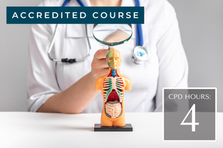 The Endocannabinoid System — Clinical Relevance